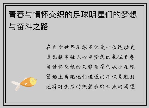 青春与情怀交织的足球明星们的梦想与奋斗之路